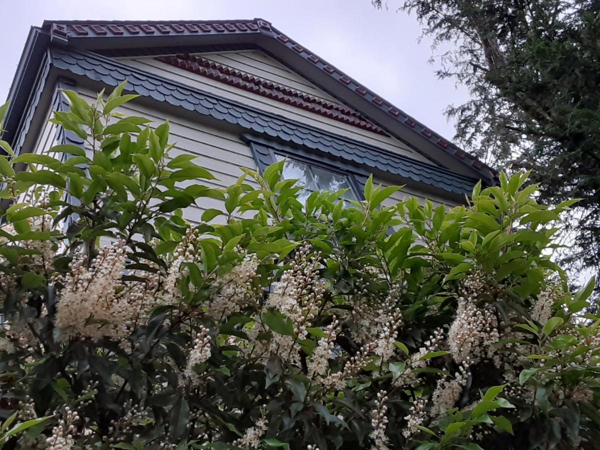 Sea Birds Cottage 빅토리아 외부 사진