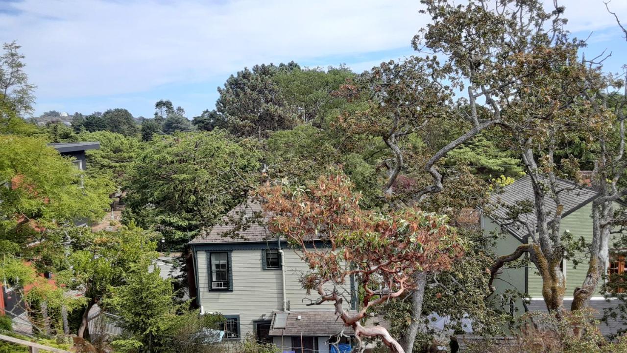 Sea Birds Cottage 빅토리아 외부 사진